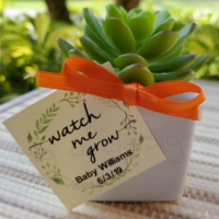 Watch Me Grow Favor Tags