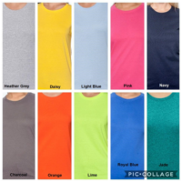 Be Kind To Animals Ladies Tee Shirt - Image 2