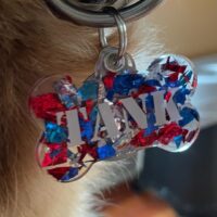 American Pride Foil Dog Tag - Image 2